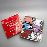 Бокс високих жіночих шкарпеток на 6 пар 36-41 р зі смішним принтом якісні, демісезонні та м'які молодіжні Br BAR, фото 3