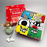 Бокс високих жіночих шкарпеток на 6 пар 36-41 р зі смішним принтом якісні, демісезонні та м'які молодіжні Br BAR, фото 5