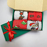 Яскравий бокс жіночих шкарпеток на 4 пари 36-41 р різнобарвні, молодіжні, практичні та якісні, високі Br BAR, фото 4