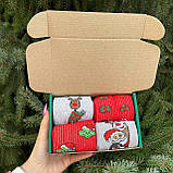 Яскравий бокс жіночих шкарпеток на 4 пари 36-41 р різнобарвні, молодіжні, практичні та якісні, високі Br BAR, фото 5