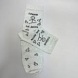 Крутий набір шкарпеток чоловічих довгих демісезонних сірих із прикольним принтом Плани на день 40-45 4 пари Br BAR, фото 3