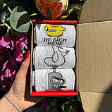 Гарний бокс шкарпеток чоловічих високих трикотажних весна осінь із яскравим веселим дизайном 40-45 3 шт для Br BAR, фото 6