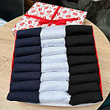 Бокс шкарпеток чоловічих коротких літніх бавовняних базових базових різнокольорових 41-45 24 пари в Br BAR, фото 6