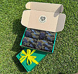 Подарунковий набір шкарпеток чоловічих 40-45 р на 4 пари довгі демісезонні білі з камуфляжним принтом ЗСУ Br BAR, фото 7