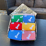 Прикольні чоловічі шкарпетки бокс на 6 пар укотажній коробці яскраві різнобарвні шкарпетки "Цюцюрки" 40-45 Br BAR, фото 4