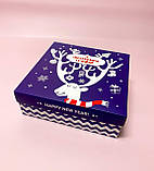 Новорічний подарунковий бокс шкарпетки з українською символікою 8 пар 36-41 Br BAR, фото 4