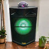 Автономна акустична система з мікрофоном WilliCo ZS з диско-шаром 300 W (USB/FM/Bluetooth), фото 6