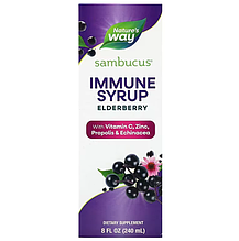 Чорна бузина, підтримка імунітету, Sambucus Immune, Nature's Way, сироп, 240 мл