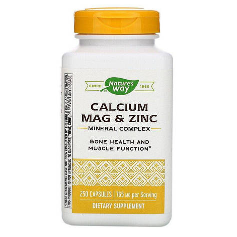 Кальцій Магній Цинк, Calcium, Mag & Zinc, Nature's Way, 765 мг, 250 капсул, фото 1