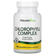 Хлорофіл, Chlorophyll, Nature's Plus, комплекс, 90 капсул.