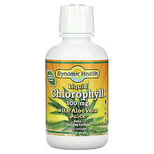 Хлорофіл для травлення, Chlorophyll, Dynamic Health, рідкий з алое вера і м'ятою, 100 мг, 473 мл