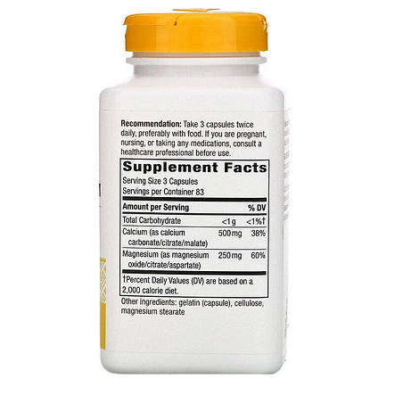 Кальцій та магній, Calcium & Magnesium, Nature's Way, мінеральний комплекс, 750 мг, 250 капсул (250 мг у капсулі), фото 3