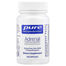 Підтримка здорової функції надниркових залоз, Adrenal, Pure Encapsulations, для підтримки здорового рівня кортизолу, зняття втоми