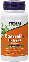 Босвелія, екстракт, Boswellia Extract, Now Foods, 250 мг, 60 вегетаріанських капсул