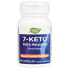 7-Кето ДГЕА метаболіт, 7-KETO, DHEA Metabolite, Nature's Way, 25 мг, 60 веганських капсул