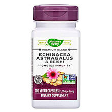 Ехінацея, астрагал і рейші, Echinacea Astragalus & Reishi, Nature's Way, 1200 мг, 100 капсул