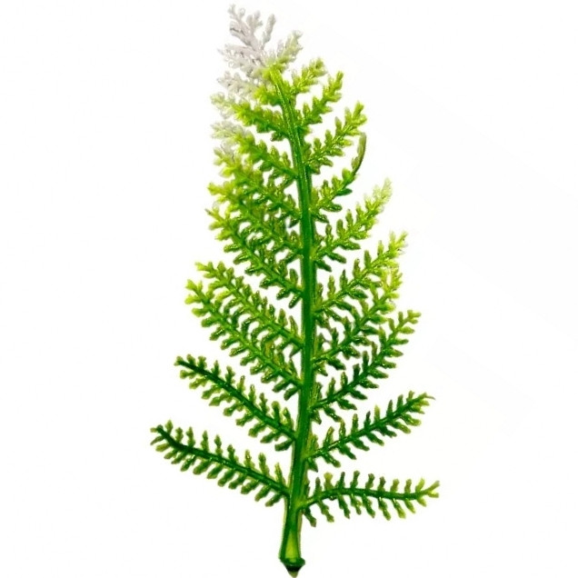 Майстерня домішка папороті 15 см за 100 шт., фото 1