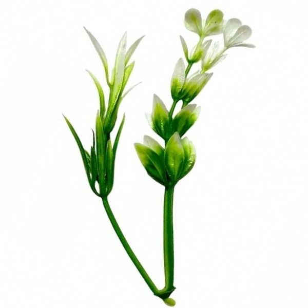 Майстерня домішка гілочка розмарин і рускус 12 см за 100 шт., фото 1