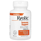 Kyolic, Aged Garlic Extract™, екстракт витриманого часнику для підтримки імунітету, формула 103, 100 капсул