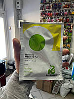 Насіння кабачків Манісес F1 (Manises F1) Rijk Zwaan 100