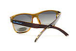 Окуляри поляризаційні BluWater Saltee Polarized (gradient gray), сірі з градієнтом лінзи в коричневій напівпрозорій оправі, фото 4