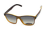 Окуляри поляризаційні BluWater Saltee Polarized (gradient gray), сірі з градієнтом лінзи в коричневій напівпрозорій оправі, фото 5