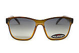 Окуляри поляризаційні BluWater Saltee Polarized (gradient gray), сірі з градієнтом лінзи в коричневій напівпрозорій оправі, фото 8