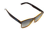 Окуляри поляризаційні BluWater Saltee Polarized (gradient gray), сірі з градієнтом лінзи в коричневій напівпрозорій оправі, фото 9