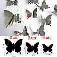Наклейка на стіну декор 3D метелика 12 штук сріблястий 8919, фото 2