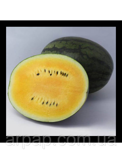 КС 500 F1 / KS 500 F1 100 насінин — Кавун, Kitano Seeds, фото 1