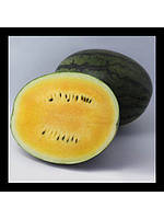 КС 500 F1 / KS 500 F1 100 насінин — Кавун, Kitano Seeds