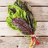 Мангольд мікс, 1 г, фото 2