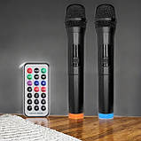 Акустична колонка з мікрофоном Колонка акумуляторна з підсвіткою SkySound Акустична система SS, фото 9