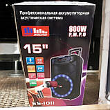 Акустична колонка з мікрофоном Колонка акумуляторна з підсвіткою SkySound Акустична система SS, фото 10