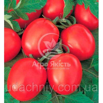 Томат Толстой F1 / Tolstoi 20 насінин