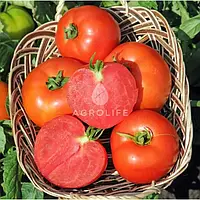 Томат Полфаст F1 20 насінин