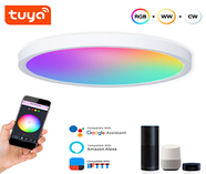 Розумний RGB-світильник з WiFi 1DAL 12W-Ø170 | Стельовий точковий LED світильник Tuya, фото 4