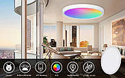 Розумний RGB-світильник з WiFi 1DAL 12W-Ø170 | Стельовий точковий LED світильник Tuya, фото 11