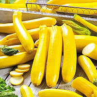 Насіння кабачок-цукіні Атена F1 ранній 5 шт