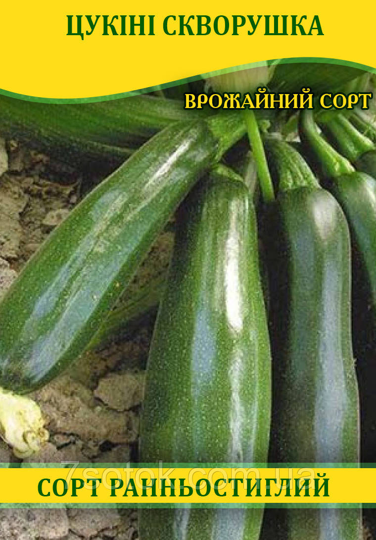Насіння цукіні Скворушка, 100г