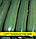 Насіння цукіні Цукеша, 0,5 кг, фото 2