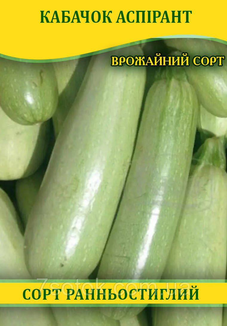 Насіння кабачка Аспірант, 100г