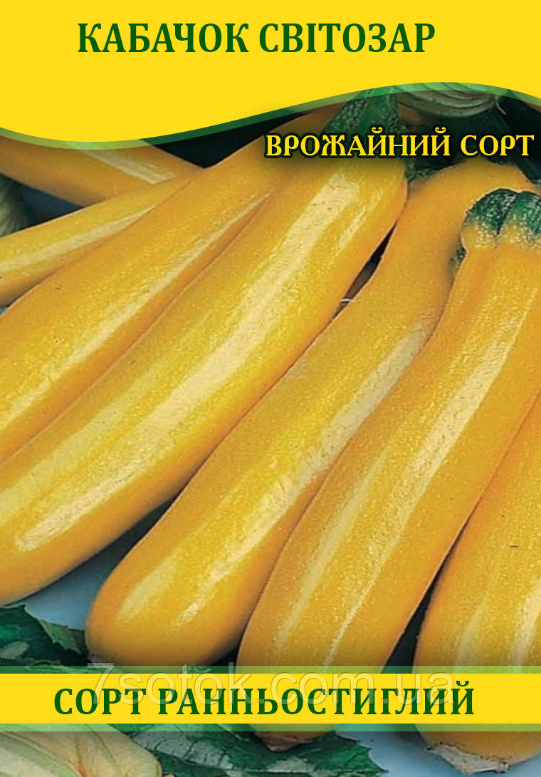 Насіння кабачка Світозар, 0,5 кг