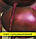 Насіння буряка, столовий Бордо, 0,5 кг, фото 2