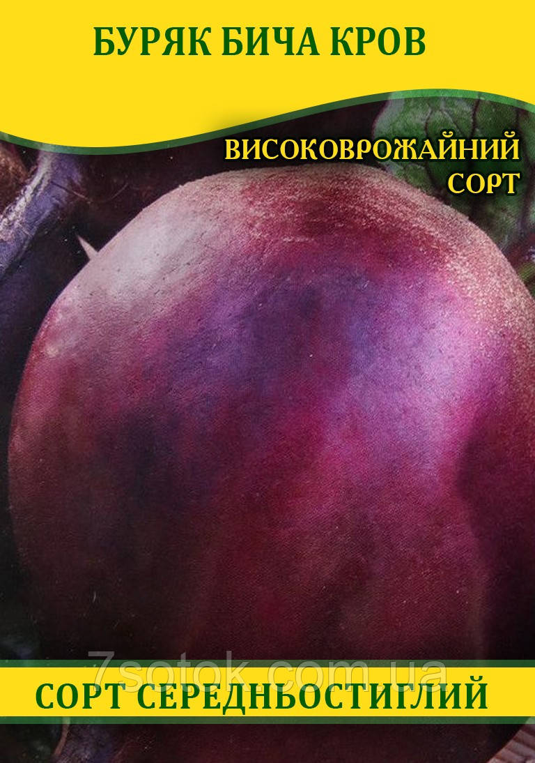 Насіння буряка, столовий Бича Кров, 0,5 кг