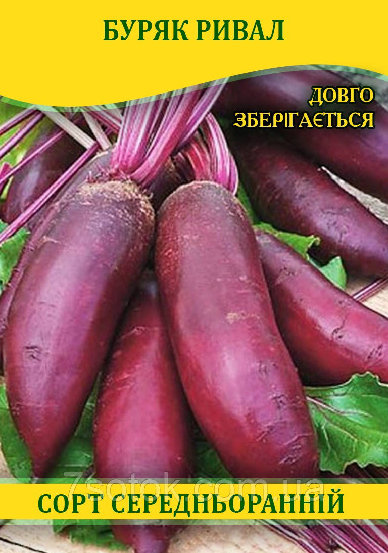 Насіння буряка столового Ривал, 100г