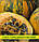 Насіння гарбуза Голосімінне Янтарне, 0,5кг, фото 2