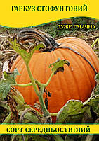 Насіння гарбуза Стофунтове, 100г