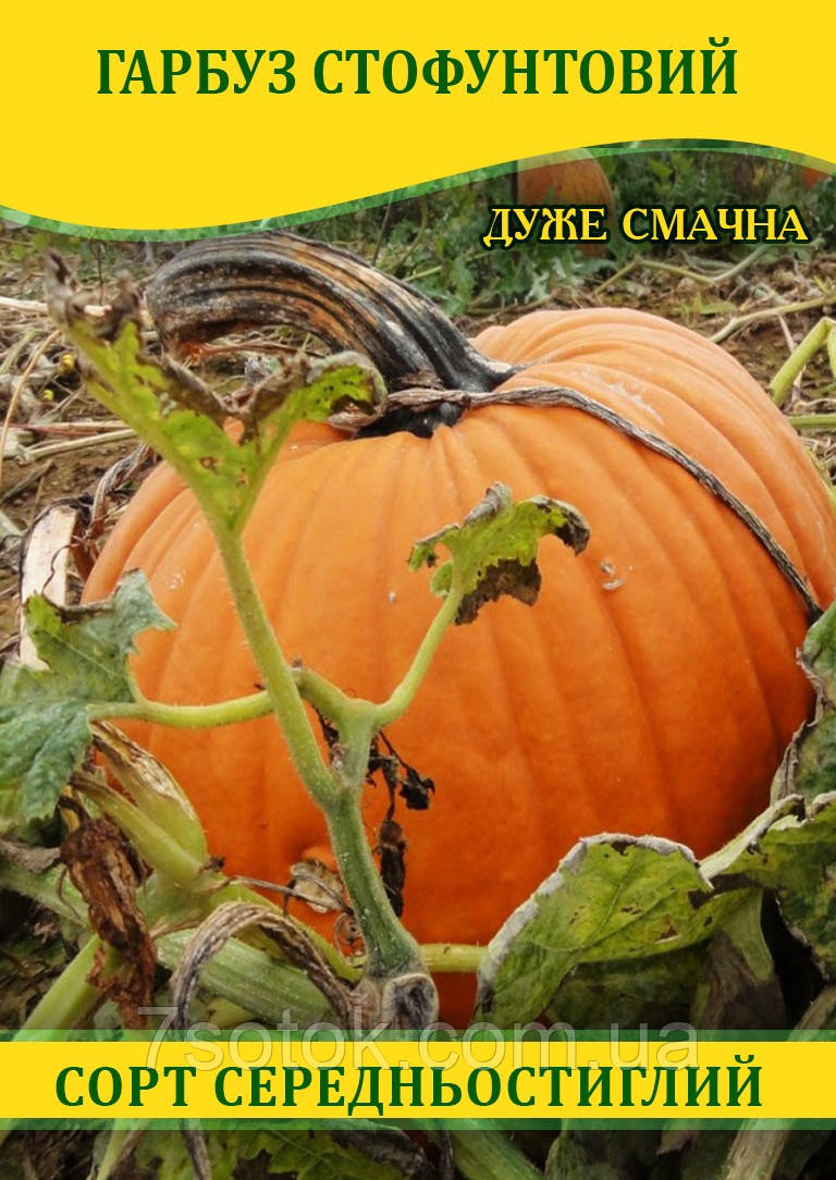 Семена тыквы Стофунтовая, 0,5кг: купить оптом, цена 159,59 ₴/упаковка ...