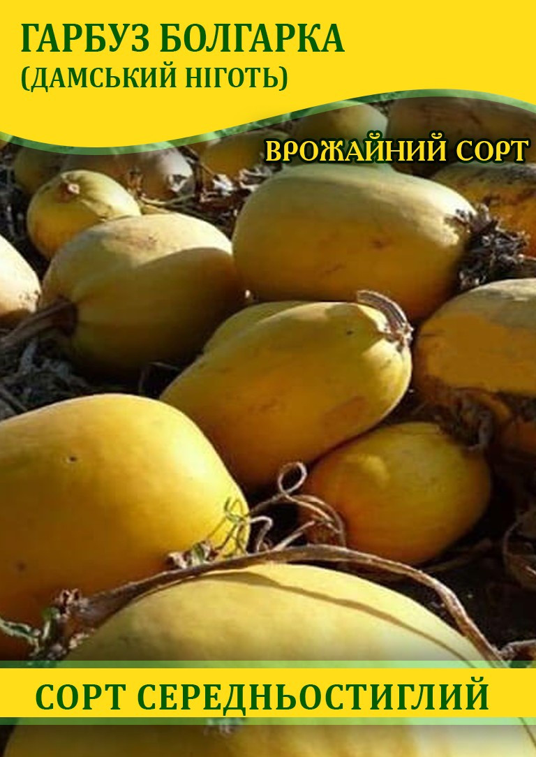 Насіння гарбуза Болгарка (Дамський Ніготь) на насіння, 0,5 кг